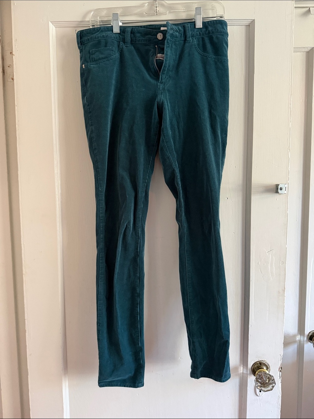 Pilcro SERIF Dark Teal Corduroy Pants Size 30